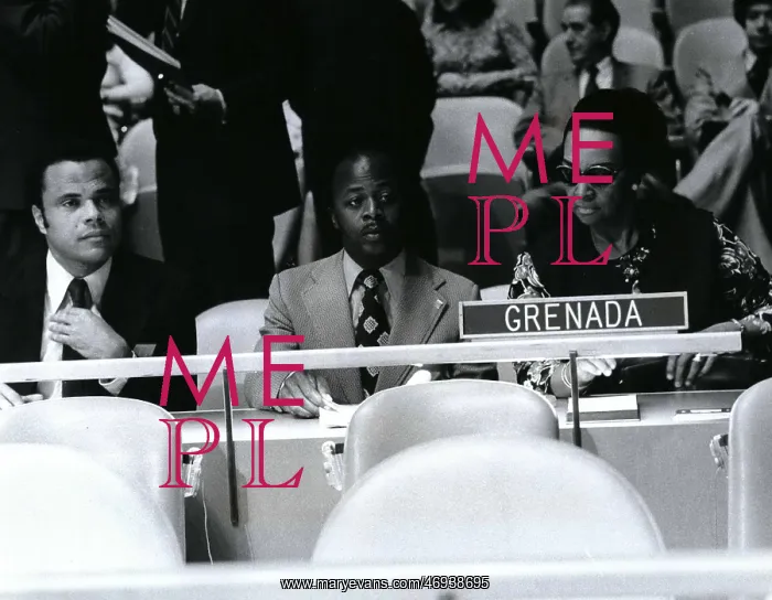 : Marie-Jo McIntyre of Grenada at UN General Assembly : Marie-Jo McIntyre of Grenada at UN General Assembly
