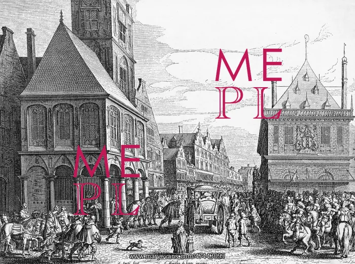 : MARIE DE MEDICI - 2 : MARIE DE MEDICI - 2