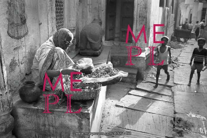 : Marigold seller, India : Marigold seller, India