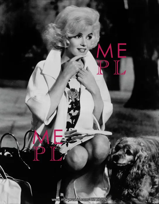 : Marilyn Monroe - Actress : Marilyn Monroe - Actress