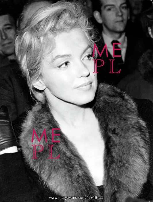 : Marilyn Monroe, American actress, Royal Court Theatre : Marilyn Monroe, American actress, Royal Court Theatre