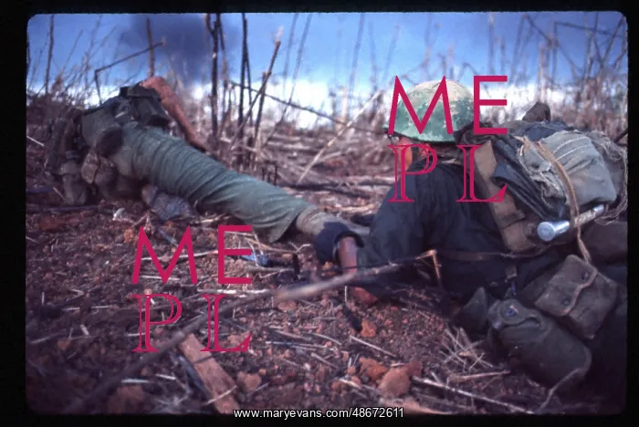 : A Marine drags a mortally wounded comrade from : A Marine drags a mortally wounded comrade from
