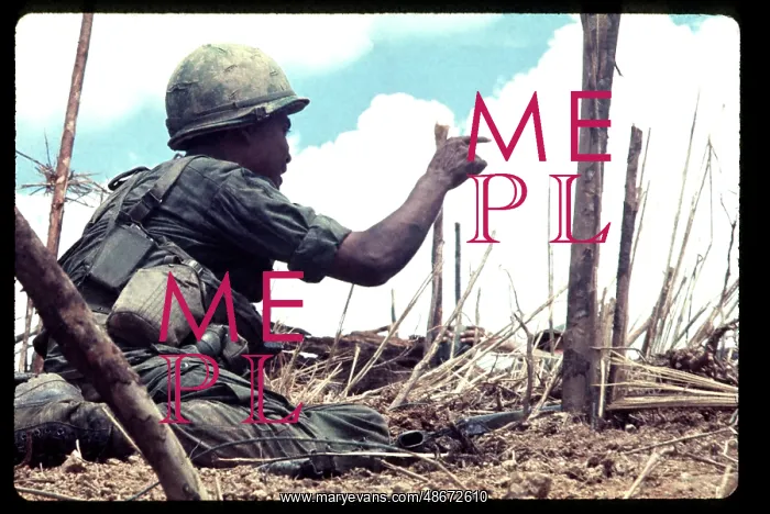 : A Marine, under fire, points to an enemy position : A Marine, under fire, points to an enemy position