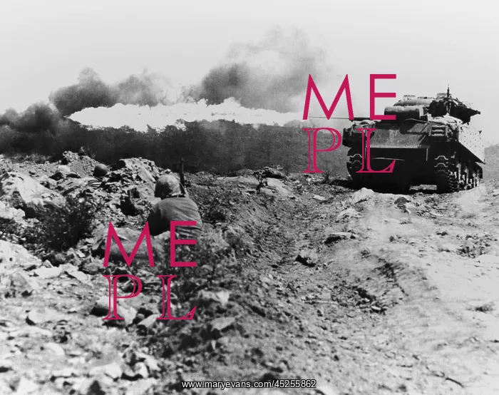 : Marine flame-throwing tank and Marine snipers : Marine flame-throwing tank and Marine snipers