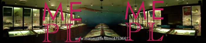 : Marine Invertebrates : Marine Invertebrates