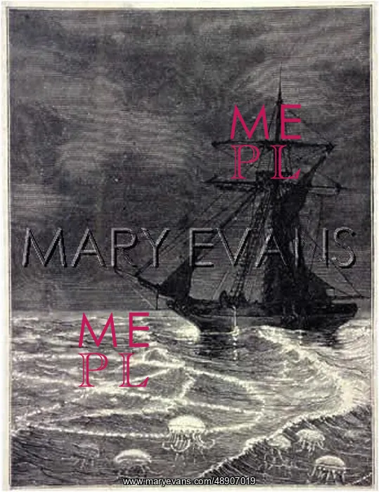 : MARINE PHOSPHORESCENCE : MARINE PHOSPHORESCENCE