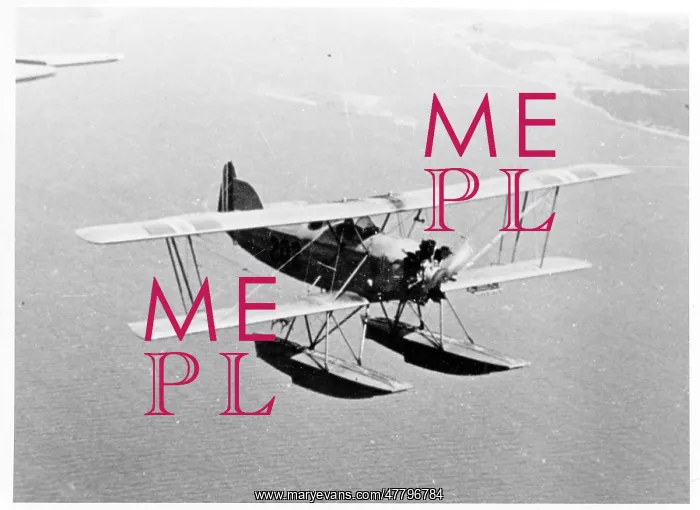 : Marinens Flyvebaatfabrikk M.F.10 : Marinens Flyvebaatfabrikk M.F.10