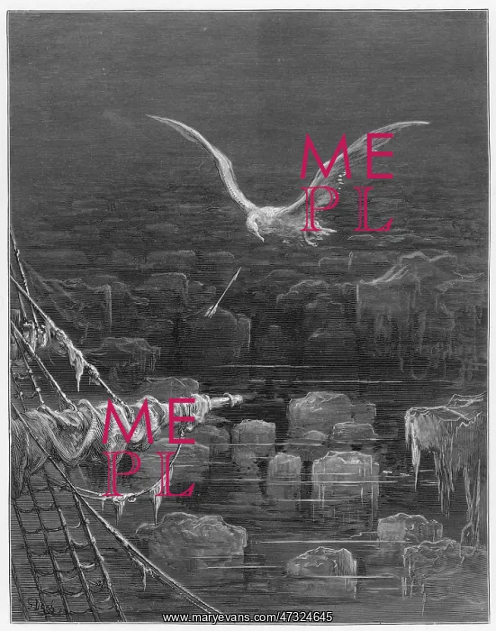 : MARINER, ALBATROSS SHOT : MARINER, ALBATROSS SHOT