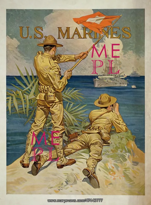 : US Marines : US Marines