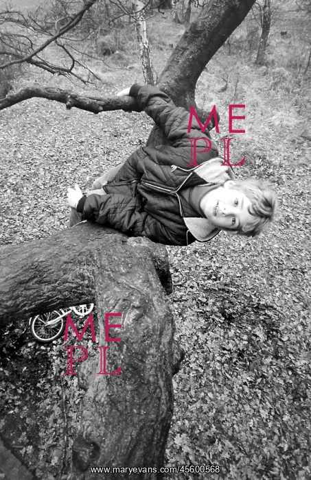 : Mark Lester, child star : Mark Lester, child star