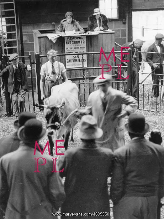 : Market. Woman auctioneer at cattle market. London. Photograph. 1933 : Market. Woman auctioneer at cattle market. London. Photograph. 1933