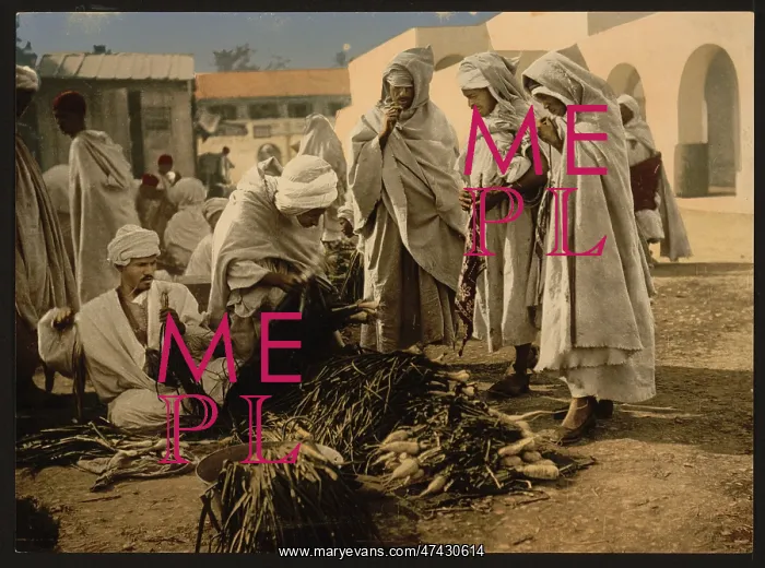  : Market, Biskra, Algeria