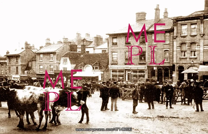  : The Market, Chippenham early 1900's