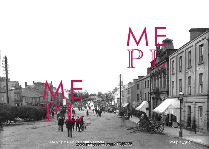 : Market Day in Cookstown : Market Day in Cookstown