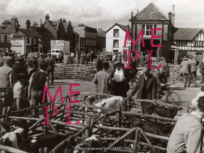 : MARKET DAY IN THAME : MARKET DAY IN THAME