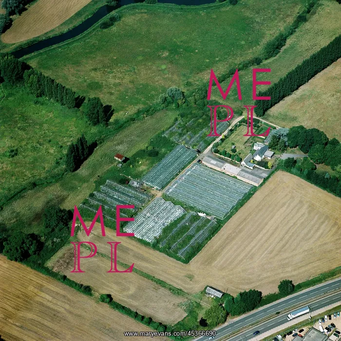 : Market garden : Market garden