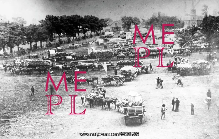 : Market Square : Market Square