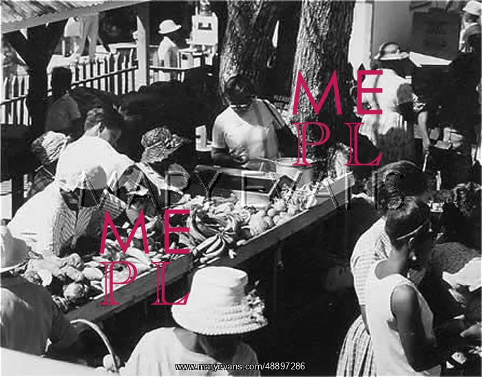 : MARKET / TOBAGO / W. INDIES : MARKET / TOBAGO / W. INDIES