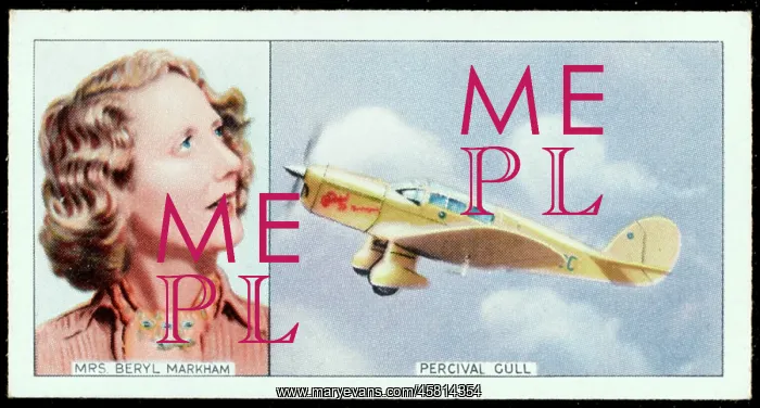 : Markham - Percival Gull : Markham - Percival Gull