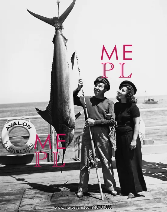 : MARLIN MADNESS : MARLIN MADNESS