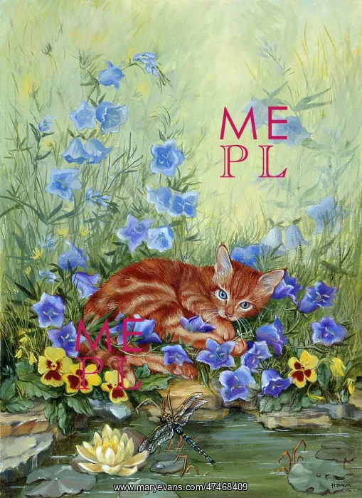  : Marmalade Kitten ? by a pond
