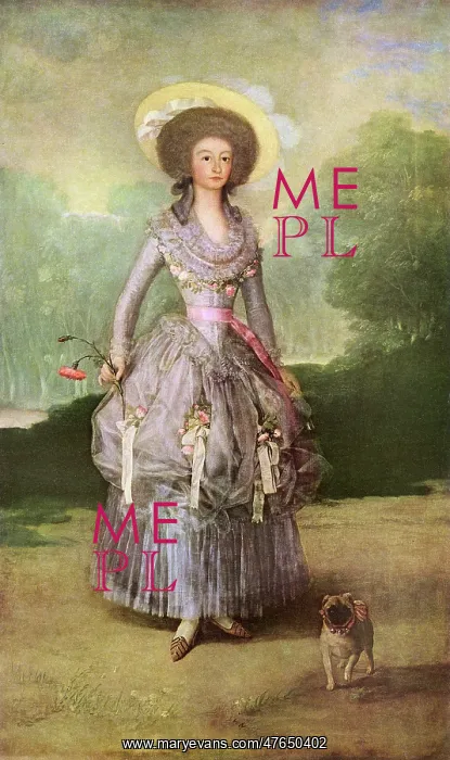 : The Marquesa de Pontejos, by Goya : The Marquesa de Pontejos, by Goya