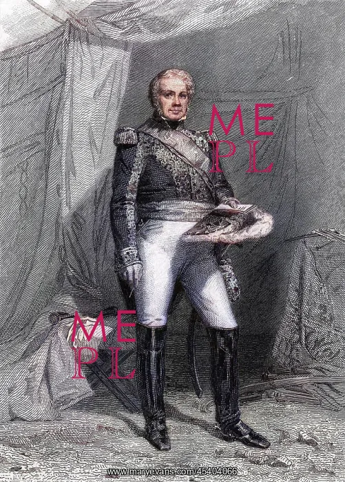 : MARQUIS DE MAISON : MARQUIS DE MAISON