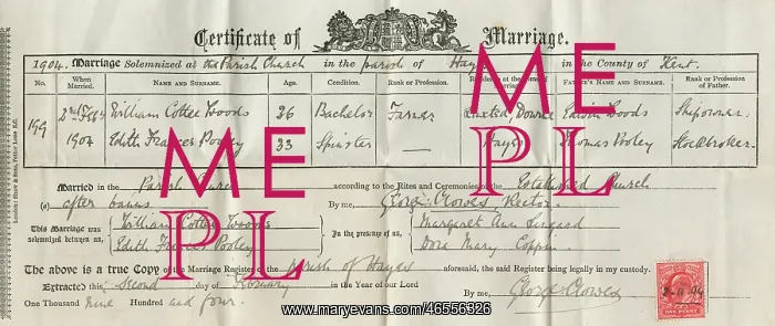 : Marriage Certificate - 1904 : Marriage Certificate - 1904