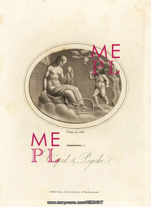 : The marriage of Cupid and Psyche : The marriage of Cupid and Psyche