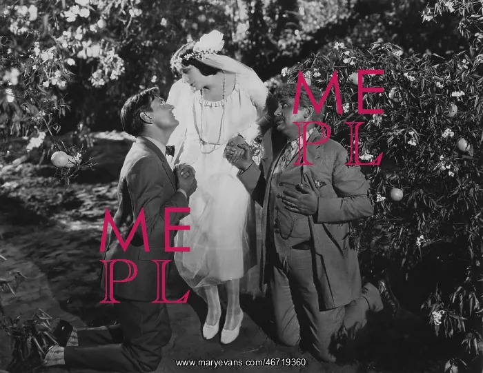 : Two marriage proposals : Two marriage proposals
