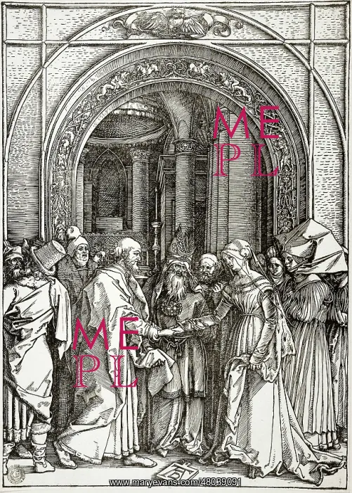 : The Marriage of the Virgin : The Marriage of the Virgin