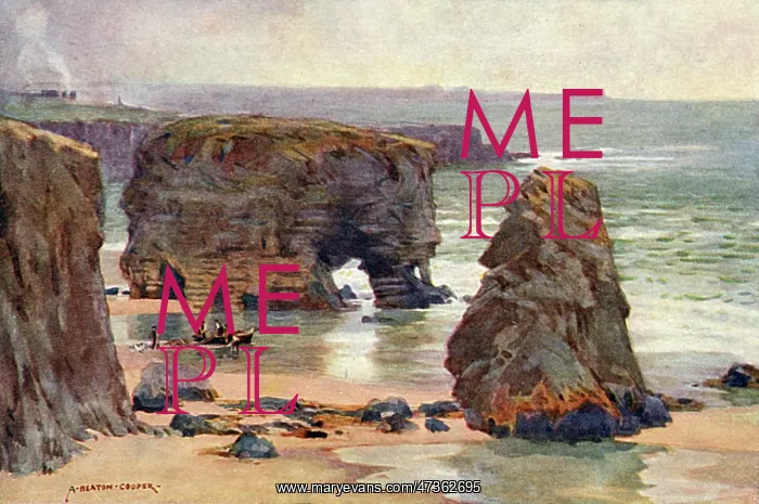 : MARSDEN ROCKS, DURHAM : MARSDEN ROCKS, DURHAM