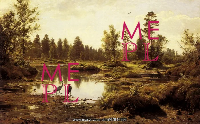  : Marsh in Polesye