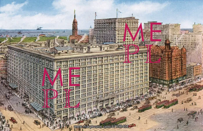 : MARSHALL FIELD : MARSHALL FIELD