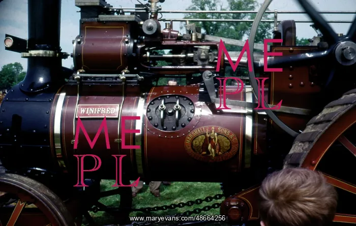 : Marshall General Purpose Engine number: 43560 Winifred : Marshall General Purpose Engine number: 43560 Winifred