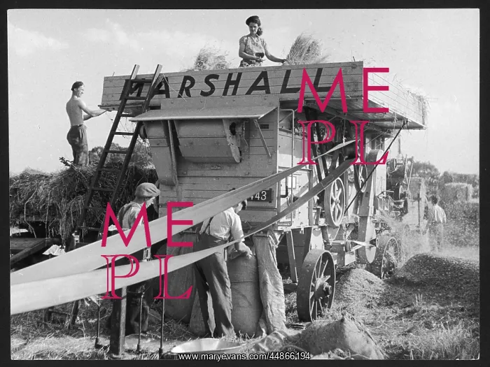 : MARSHALL THRESHER : MARSHALL THRESHER