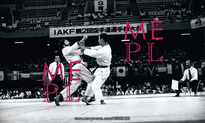 : Martial Arts : Martial Arts