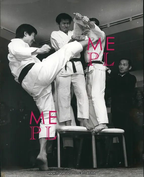 : Martial Arts : Martial Arts