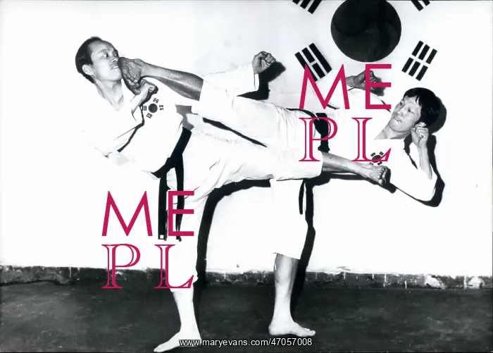 : Martial Arts : Martial Arts
