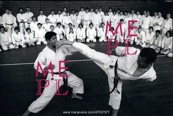 : Martial Arts : Martial Arts