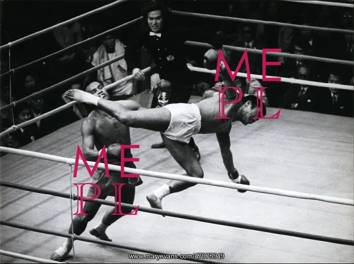 : Martial Arts : Martial Arts