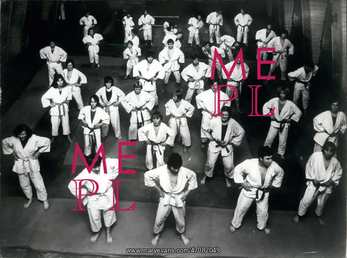 : Martial Arts : Martial Arts