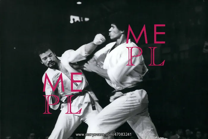: Martial Arts : Martial Arts
