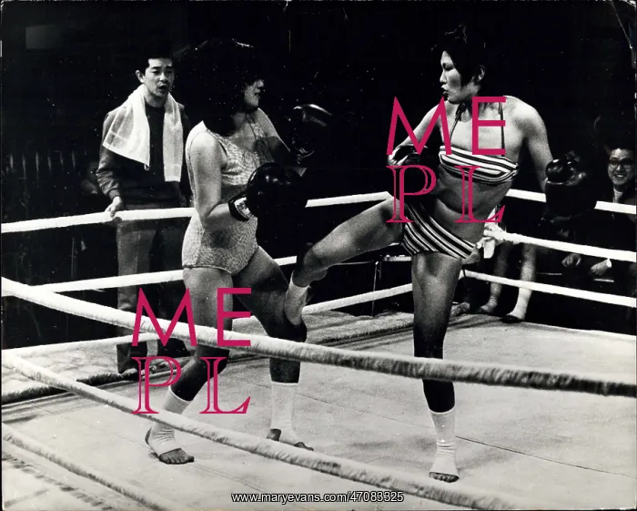 : Martial Arts : Martial Arts