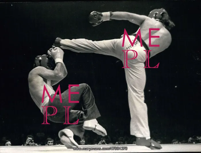: Martial Arts : Martial Arts