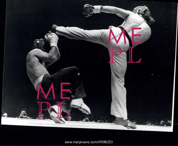 : Martial Arts : Martial Arts