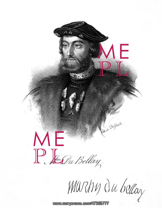 : MARTIN DU BELLAY : MARTIN DU BELLAY