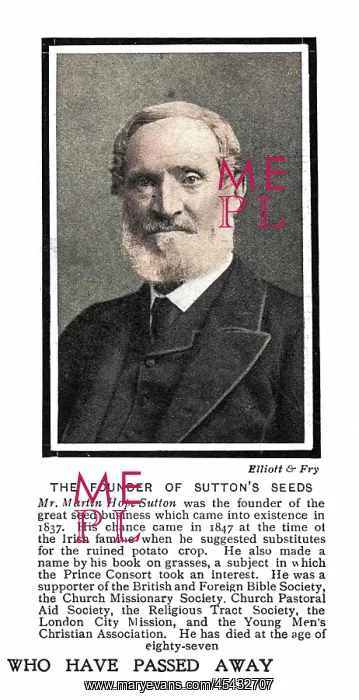 : MARTIN HOPE SUTTON : MARTIN HOPE SUTTON
