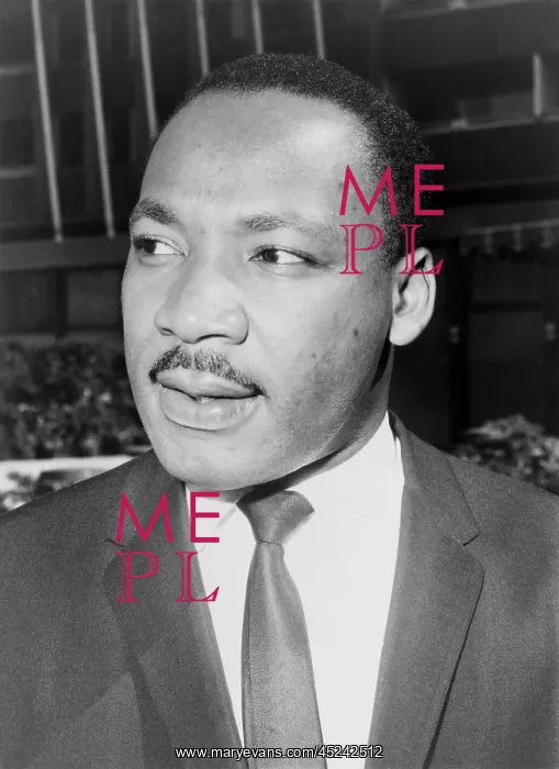 : Martin Luther King, Jr. Leader of the Southern ? : Martin Luther King, Jr. Leader of the Southern ?