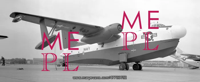 : Martin P5M-2 Marlin 147931 : Martin P5M-2 Marlin 147931